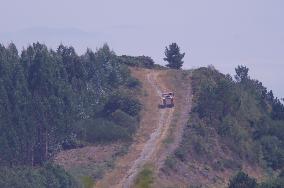 Forest Fire In The Parish Of Baamonde - Spain