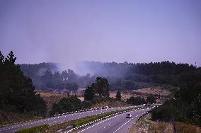 Forest Fire In The Parish Of Baamonde - Spain