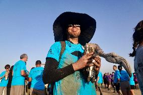 Banding Of 600 Flamingo Chicks - Spain