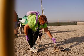Banding Of 600 Flamingo Chicks - Spain