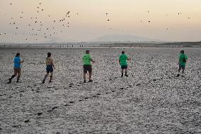 Banding Of 600 Flamingo Chicks - Spain