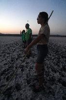 Banding Of 600 Flamingo Chicks - Spain