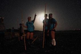 Banding Of 600 Flamingo Chicks - Spain