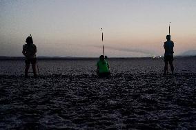 Banding Of 600 Flamingo Chicks - Spain