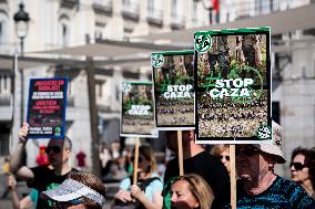 Animal Cruelty Protest After 32 Dogs Found Dead From Starvation - Madrid