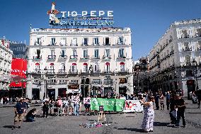 Animal Cruelty Protest After 32 Dogs Found Dead From Starvation - Madrid