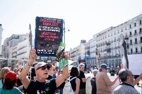 Animal Cruelty Protest After 32 Dogs Found Dead From Starvation - Madrid