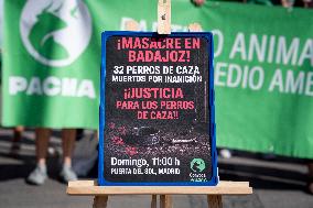 Animal Cruelty Protest After 32 Dogs Found Dead From Starvation - Madrid