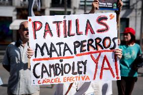Animal Cruelty Protest After 32 Dogs Found Dead From Starvation - Madrid