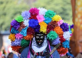Indigenous Culture Parade - Mexico City