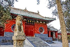 Shaolin Temple