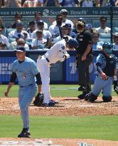 Baseball:Shohei Ohtani