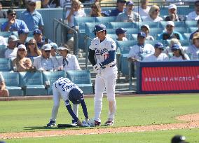 Baseball:Shohei Ohtani
