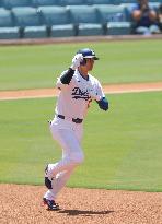Baseball:Shohei Ohtani