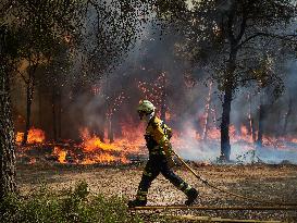 INFONA Plan Level 2 Upgrade Following Carcastillo Forest Fire - Spain