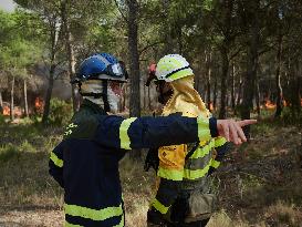 INFONA Plan Level 2 Upgrade Following Carcastillo Forest Fire - Spain