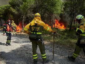 INFONA Plan Level 2 Upgrade Following Carcastillo Forest Fire - Spain