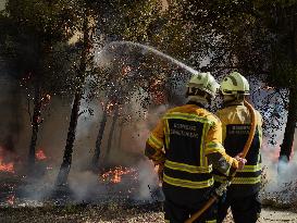 INFONA Plan Level 2 Upgrade Following Carcastillo Forest Fire - Spain