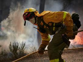 INFONA Plan Level 2 Upgrade Following Carcastillo Forest Fire - Spain