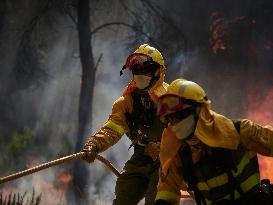 INFONA Plan Level 2 Upgrade Following Carcastillo Forest Fire - Spain