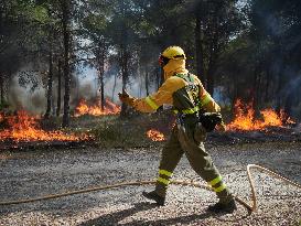 INFONA Plan Level 2 Upgrade Following Carcastillo Forest Fire - Spain