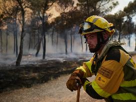 INFONA Plan Level 2 Upgrade Following Carcastillo Forest Fire - Spain