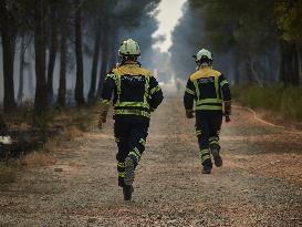 INFONA Plan Level 2 Upgrade Following Carcastillo Forest Fire - Spain