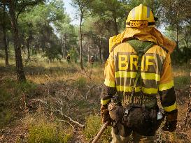 INFONA Plan Level 2 Upgrade Following Carcastillo Forest Fire - Spain