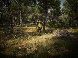 INFONA Plan Level 2 Upgrade Following Carcastillo Forest Fire - Spain