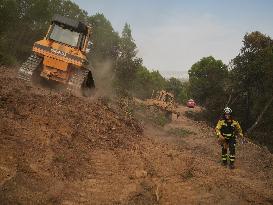 INFONA Plan Level 2 Upgrade Following Carcastillo Forest Fire - Spain