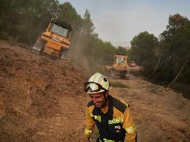 INFONA Plan Level 2 Upgrade Following Carcastillo Forest Fire - Spain