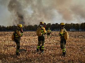 INFONA Plan Level 2 Upgrade Following Carcastillo Forest Fire - Spain