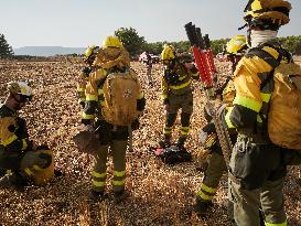 INFONA Plan Level 2 Upgrade Following Carcastillo Forest Fire - Spain
