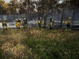 INFONA Plan Level 2 Upgrade Following Carcastillo Forest Fire - Spain