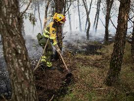INFONA Plan Level 2 Upgrade Following Carcastillo Forest Fire - Spain
