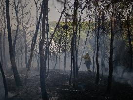 INFONA Plan Level 2 Upgrade Following Carcastillo Forest Fire - Spain