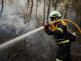 INFONA Plan Level 2 Upgrade Following Carcastillo Forest Fire - Spain