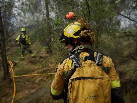 INFONA Plan Level 2 Upgrade Following Carcastillo Forest Fire - Spain