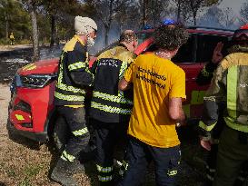 INFONA Plan Level 2 Upgrade Following Carcastillo Forest Fire - Spain