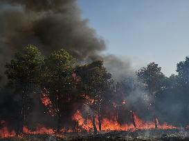 INFONA Plan Level 2 Upgrade Following Carcastillo Forest Fire - Spain