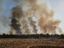 INFONA Plan Level 2 Upgrade Following Carcastillo Forest Fire - Spain