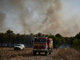 INFONA Plan Level 2 Upgrade Following Carcastillo Forest Fire - Spain