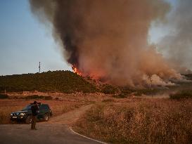 INFONA Plan Level 2 Upgrade Following Carcastillo Forest Fire - Spain
