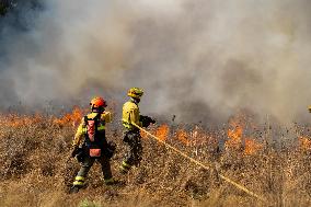 INFONA Plan Level 2 Upgrade Following Carcastillo Forest Fire - Spain