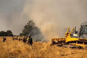 INFONA Plan Level 2 Upgrade Following Carcastillo Forest Fire - Spain