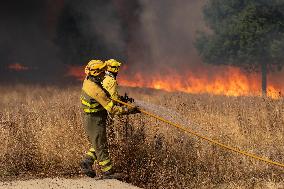 INFONA Plan Level 2 Upgrade Following Carcastillo Forest Fire - Spain