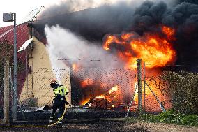 INFONA Plan Level 2 Upgrade Following Carcastillo Forest Fire - Spain