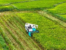 Sself Driving Harvester