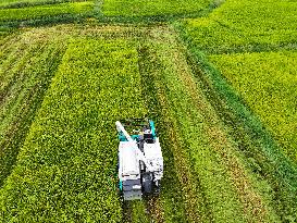 Sself Driving Harvester