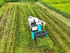 Sself Driving Harvester